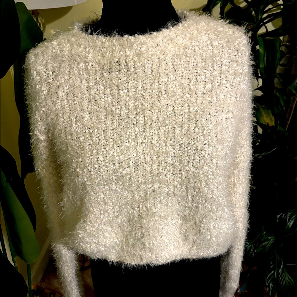 Cute Fuzzy Crop Sweater